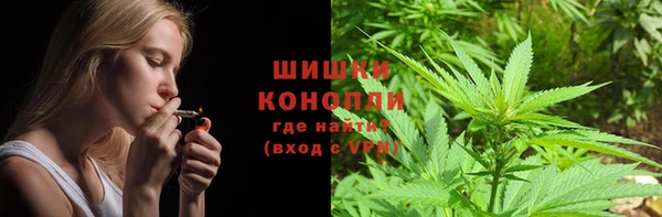 прущие крисы Балахна