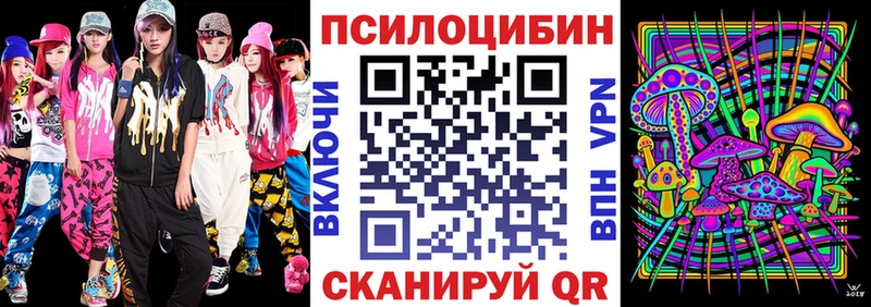 Псилоцибиновые грибы Psilocybe  наркошоп  Обоянь 